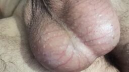 Мои яйца всегда возбуждаются!